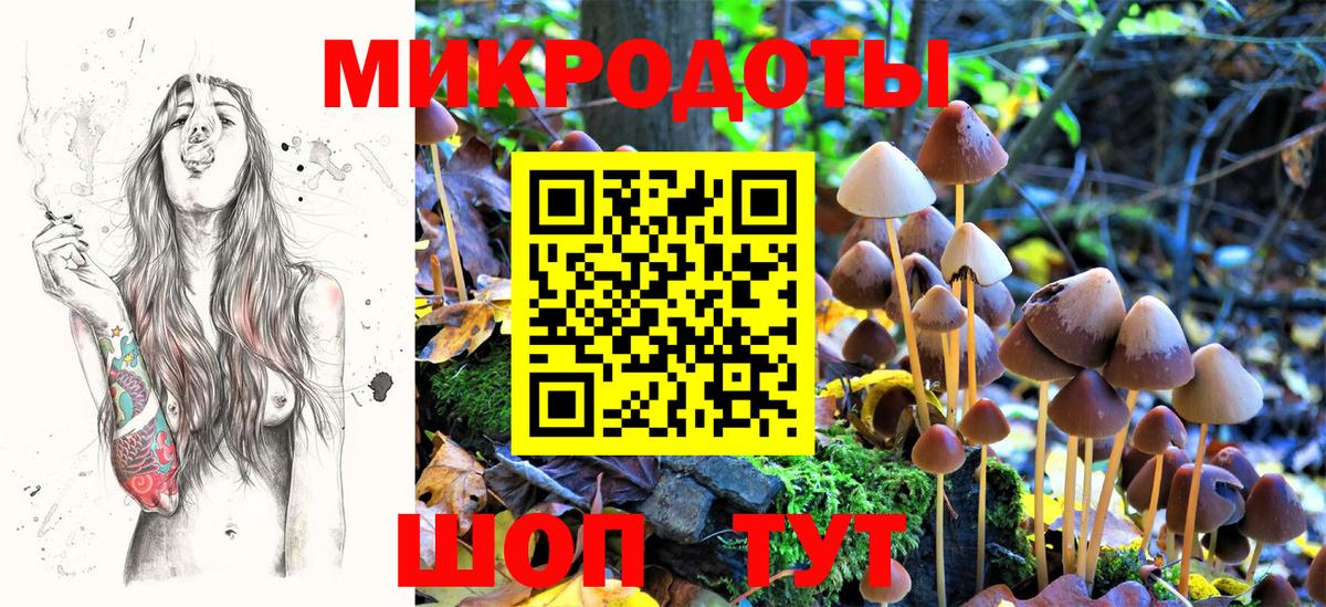 Псилоцибиновые грибы GOLDEN TEACHER Ростов Великий