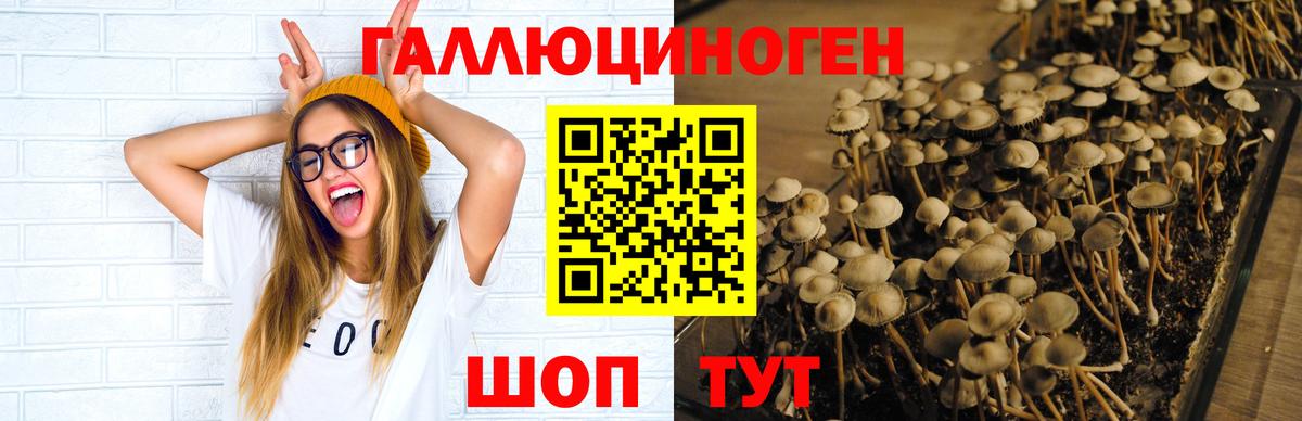 Псилоцибиновые грибы Cubensis  Вход с VPN  продажа наркотиков  Ростов Великий 